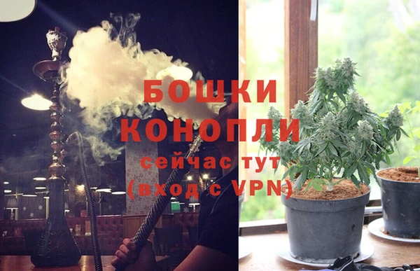дурь Бронницы
