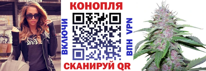 МАРИХУАНА VHQ  наркотики  Дигора 